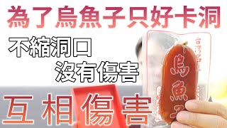 再縮洞口啊！夾娃娃《互相傷害第 3 次》為了烏魚子卡洞清爆它！