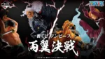 海賊王全新日版金證兩翼決戰B賞-KING燼