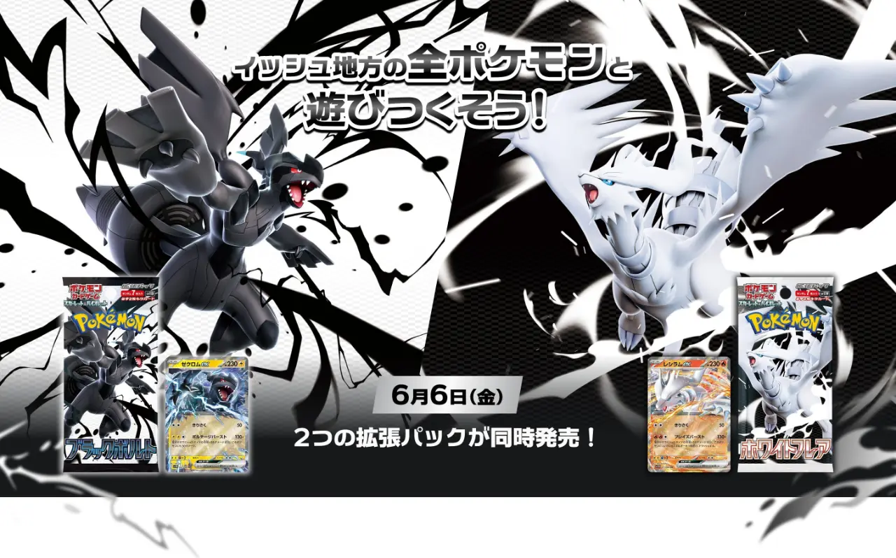 一番賞《PTCG：寶可夢》漆黑伏特純白閃焰