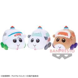PUI PUI 天竺鼠車車 DRIVING SCHOOL 水汪汪大眼絨毛玩偶～VR雪萌、Fuu、Doofuu～