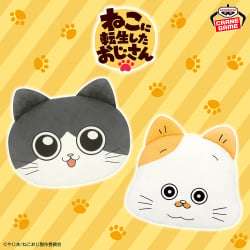 電視動畫《戀上換裝娃娃》 ESPRESTO-Detailed Elegance-乾紗壽葉 黑百合ver.