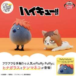 排球少年 Fluffy Puffy～日向烏＆賢馬貓～