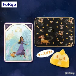 Wish【FDT】附收納盒毯子