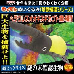 電視動畫《戀上換裝娃娃》 ESPRESTO-Detailed Elegance-乾紗壽葉 黑百合ver.