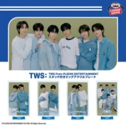 TWS 出自 PLEDIS ENTERTAINMENT 附支架大型壓克力立牌