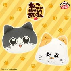 電視動畫《戀上換裝娃娃》 ESPRESTO-Detailed Elegance-乾紗壽葉 黑百合ver.