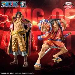 海賊王 KING OF ARTIST GOLD·ROGER & 光月御田-特別版-