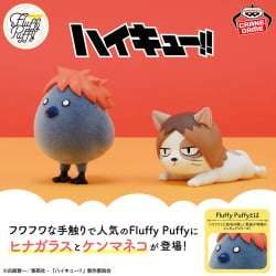 排球少年 Fluffy Puffy～日向烏＆賢馬貓～