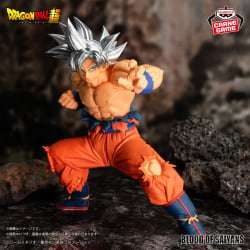 七龍珠超 BLOOD OF SAIYANS-SPECIALXX-