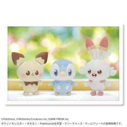 Poképiece 絨毛玩偶～皮丘、波加曼、火斑喵～