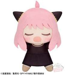 電視動畫《戀上換裝娃娃》 ESPRESTO-Detailed Elegance-乾紗壽葉 黑百合ver.